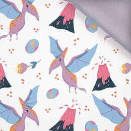 PTERODAKTYL / WULKAN - softshell