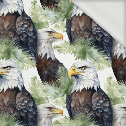 PASTEL BALD EAGLE - dresówka pętelkowa