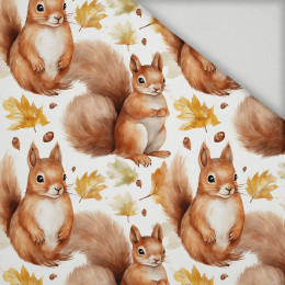 PASTEL SQUIRREL - tkanina szybkoschnąca