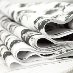 SZARE LIŚCIE / biała - dresówka pętelkowa SP250