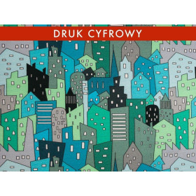 MIASTO - dresówka pętelkowa 