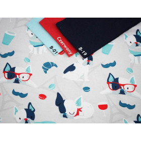 J adore Paris / aqua - single jersey z elastanem TE210