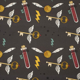 CZARODZIEJSKI MIX WZ. 5 (MAGICZNA SZKOŁA) / grafitowy - dresówka pętelkowa