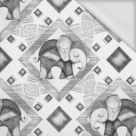 INDYJSKIE KLIMATY (SZARY) / biały- dresówka pętelkowa