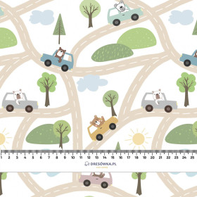 KOLOROWE AUTKA / ulice (MIEJSKIE MISIE) - ortalion PUMI