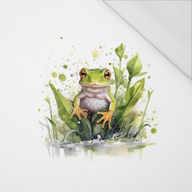 WATERCOLOR FROG - PANEL (60cm x 50cm) SINGLE JERSEY