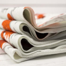 LISKI I ZAJĄCZKI - dresówka pętelkowa SP250