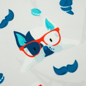 J adore Paris / aqua - dresówka pętelkowa 