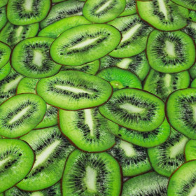 KIWI - dresówka pętelkowa SP250