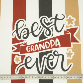 PANEL PODUSZKOWY - Best grandpa ever/ paski- HOME DECOR PREMIUM