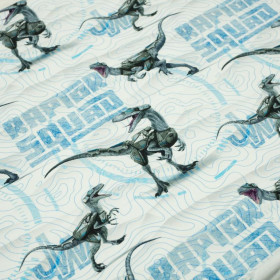 RAPTOR SQUAD / błękitny - single jersey TE210