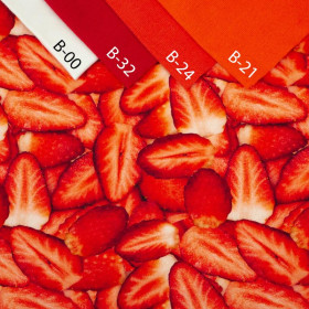 TRUSKAWKI - dresówka pętelkowa SP250