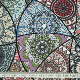 WITRAŻ / aqua - softshell