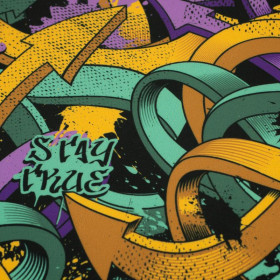 STREET STYLE WZ. 5 - softshell