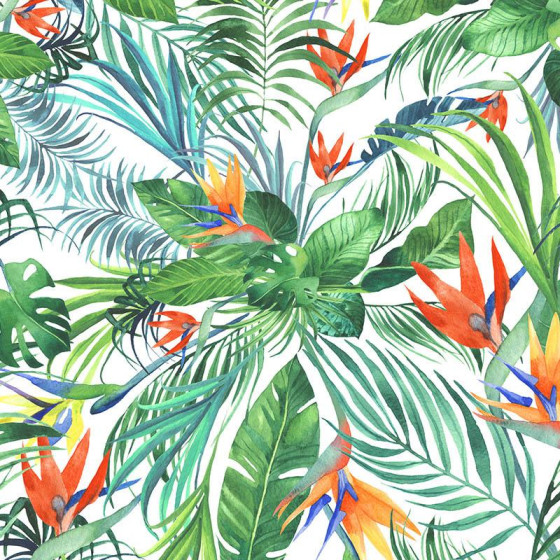 RAJSKA DŻUNGLA / WILD JUNGLE (MONSTERA)/ biały