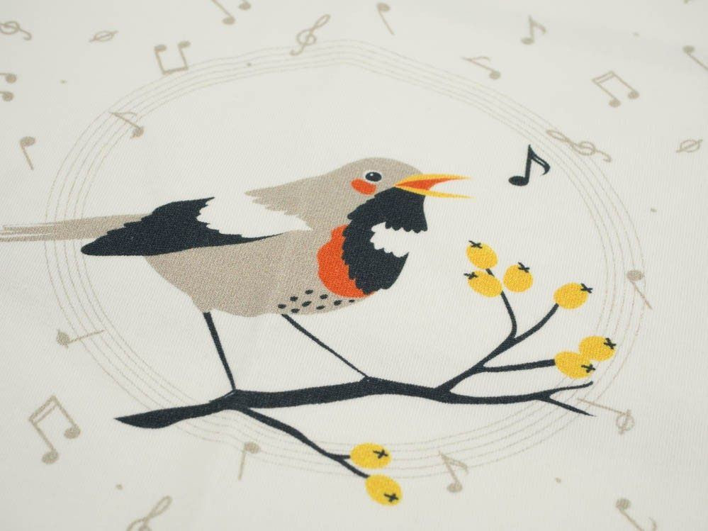 BIRDS TUNES / dirty white - panel single jersey TE210