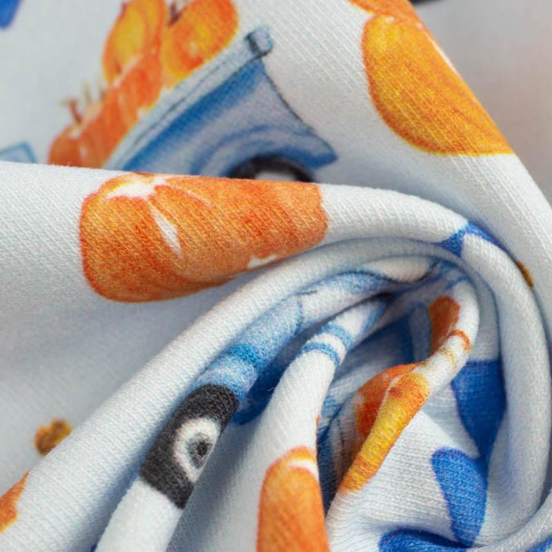 SKATER / blue - looped knit fabric