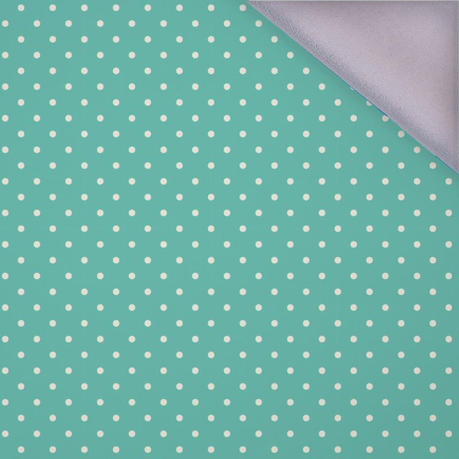 WHITE DOTSIES / mint - softshell