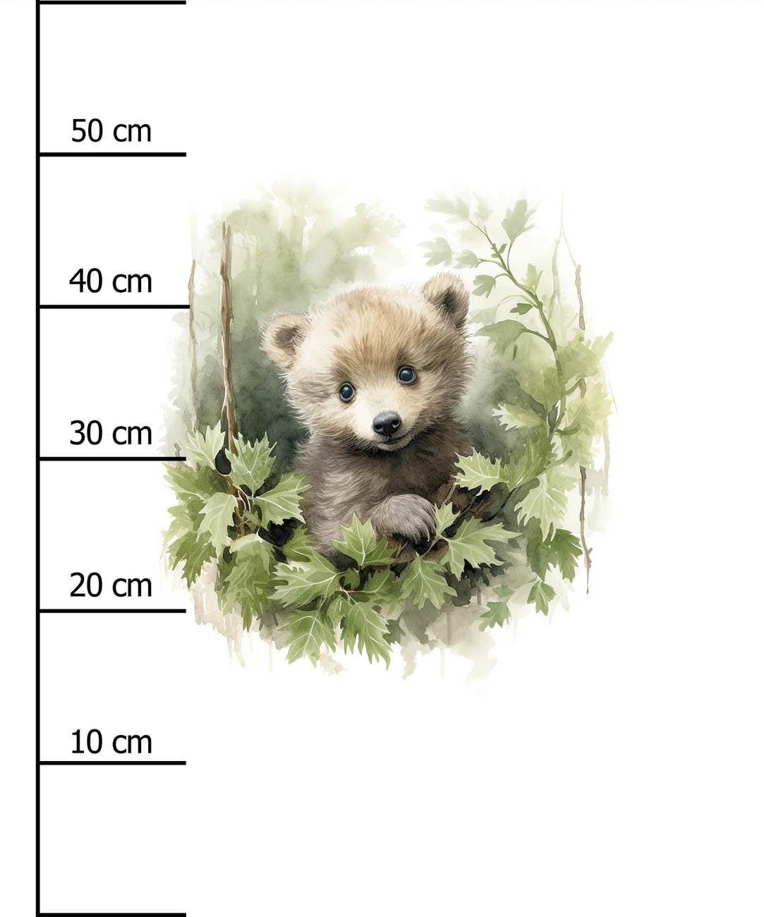 WATERCOLOR LITTLE BEAR -  PANEL (60cm x 50cm) brushed knitwear with elastane ITY