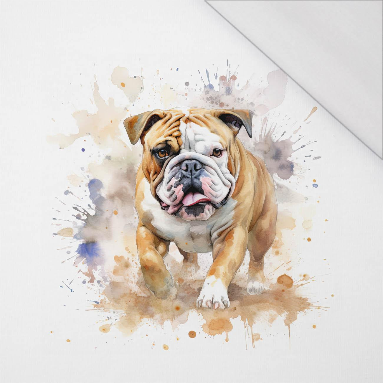 WATERCOLOR BULLDOG - panel (75cm x 80cm) SINGLE JERSEY PANEL