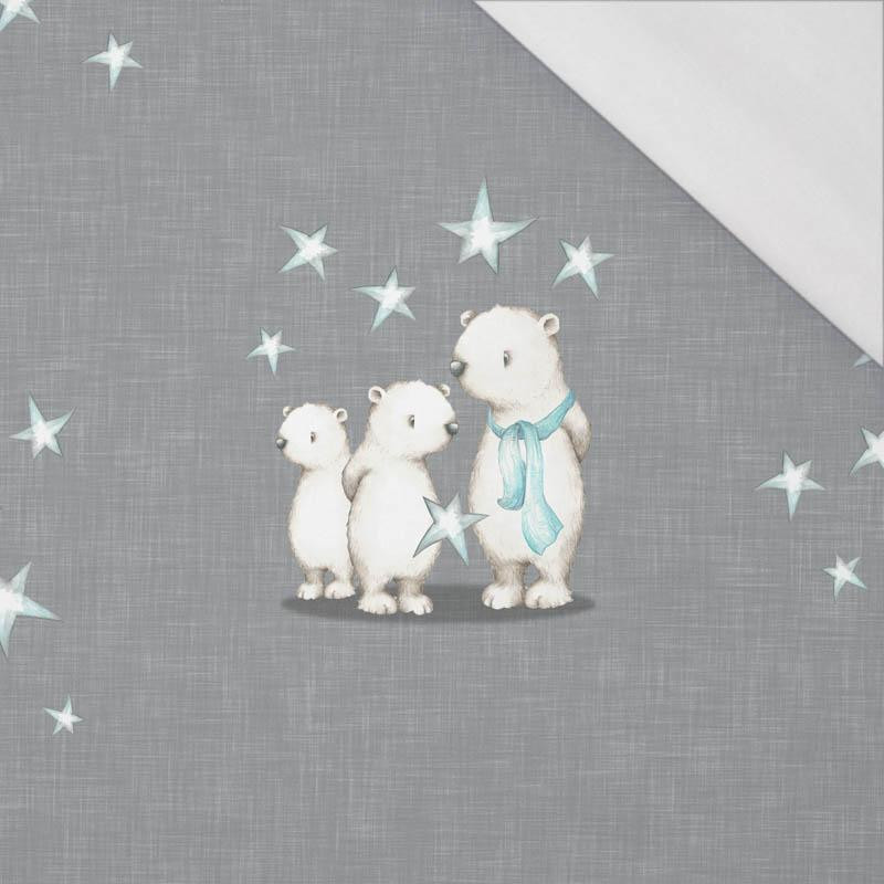 TEDDIES AND STARS / acid grey (MAGICAL CHRISTMAS FOREST) - SINGLE JERSEY PANORAMIC PANEL 