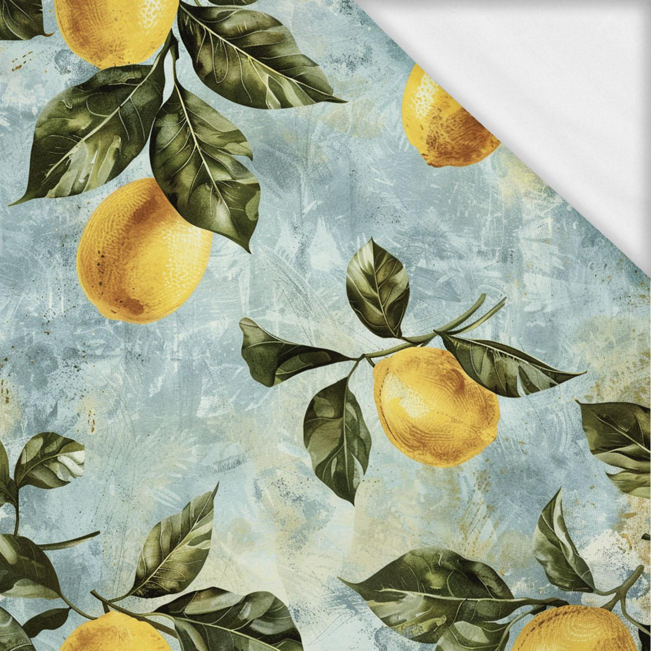 LEMON wz.1- single jersey with elastane ITY