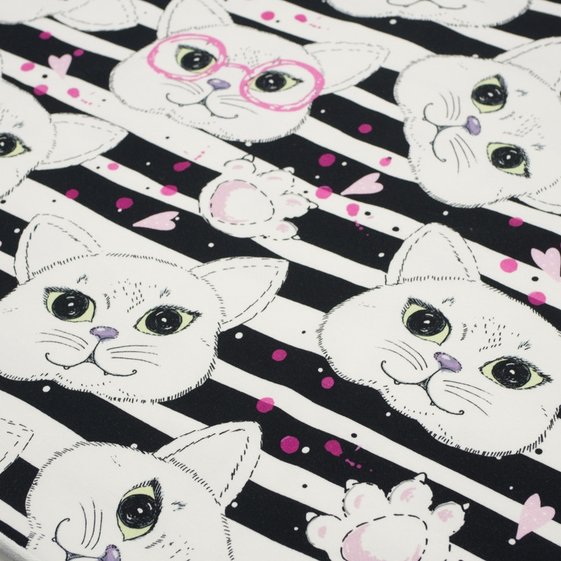 CATS IN GLASSES / pink - looped knit SP250