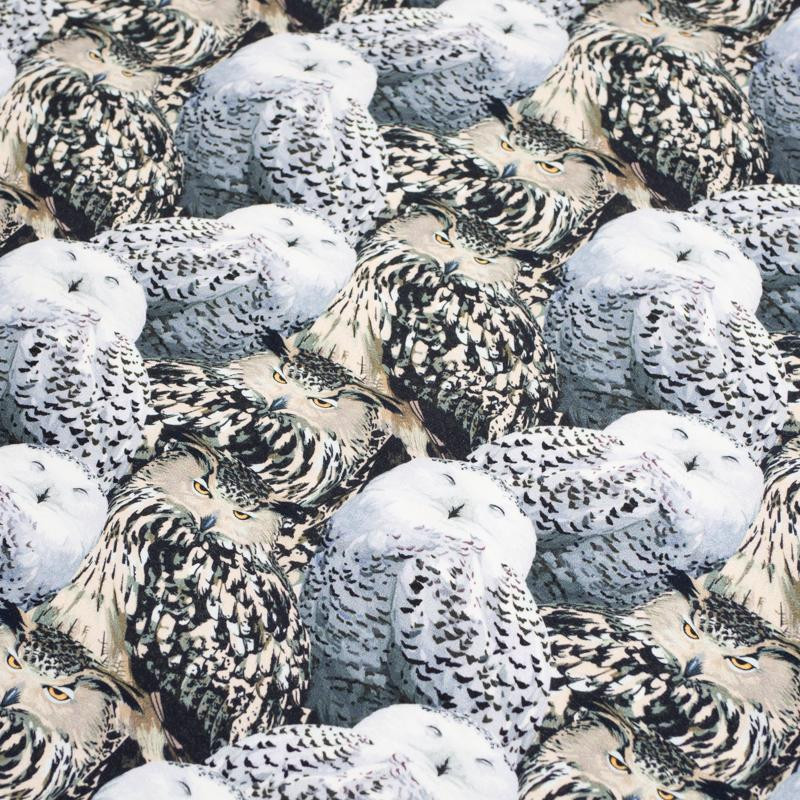 Eagle-owls - looped knit SP250