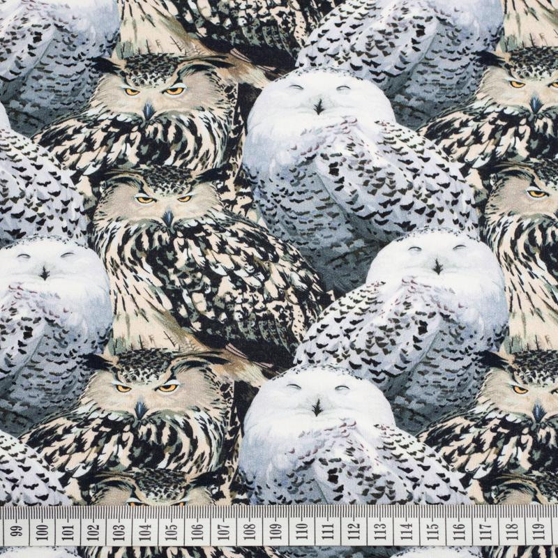 Eagle-owls - looped knit SP250