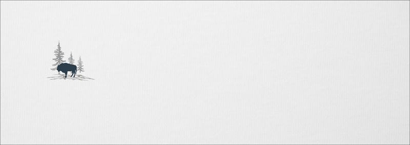 EUROPEAN BISON (ADVENTURE) / white - SINGLE JERSEY PANORAMIC PANEL 