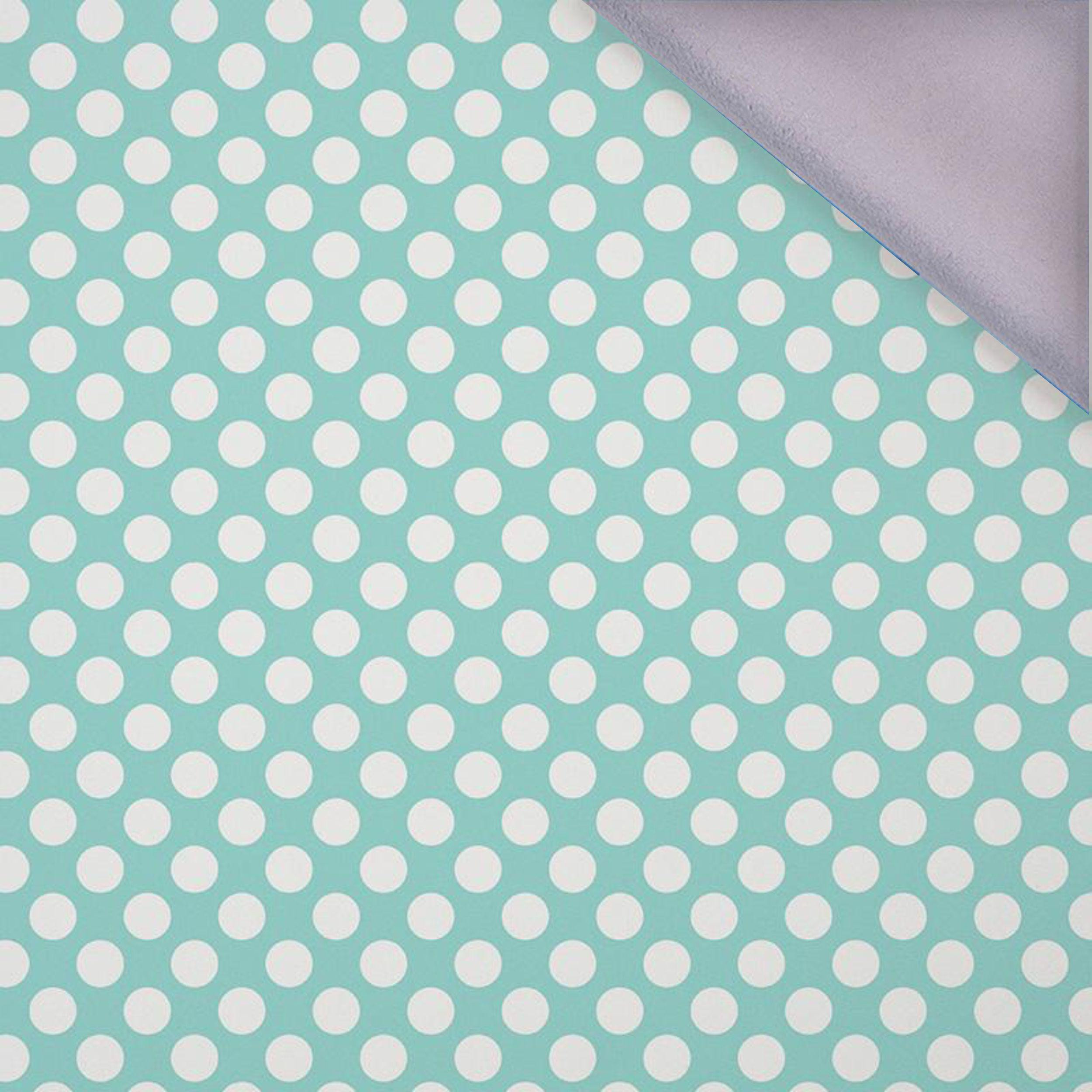 WHITE DOTS / mint - softshell