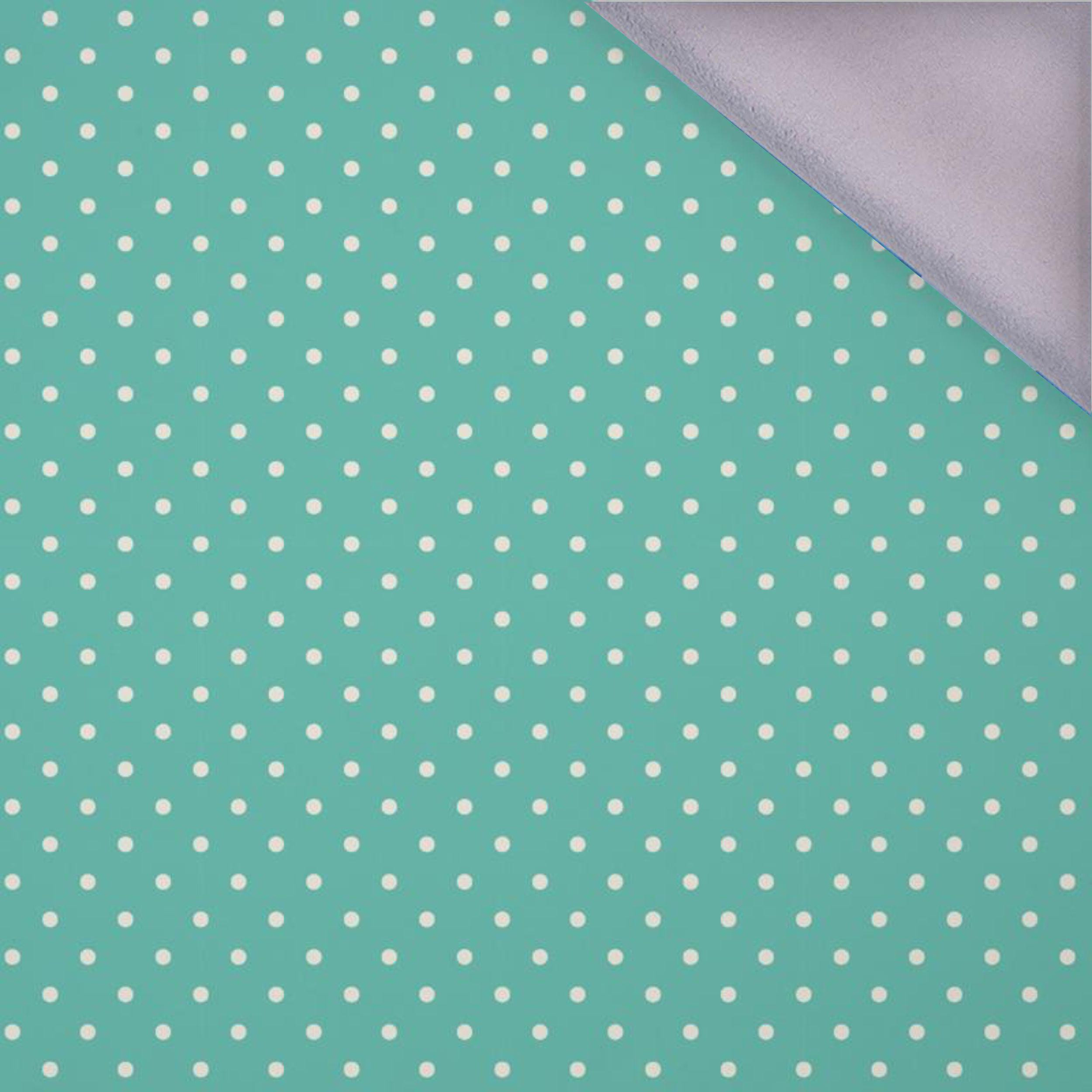 WHITE DOTSIES / mint - softshell