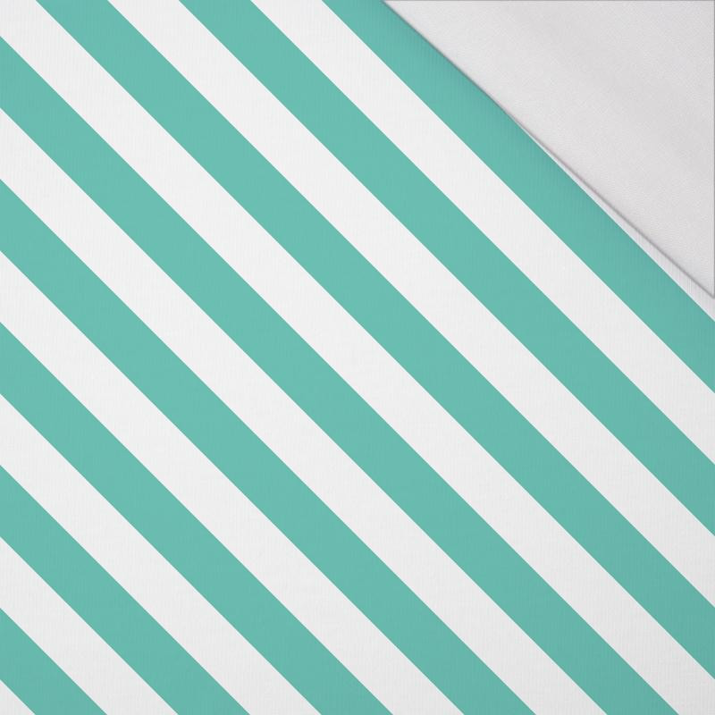 DIAGONAL STRIPES / mint - single jersey 