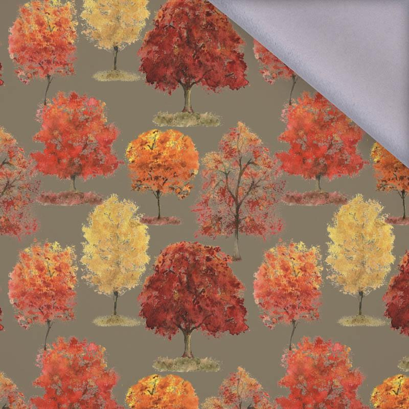 SKATER / blue - softshell