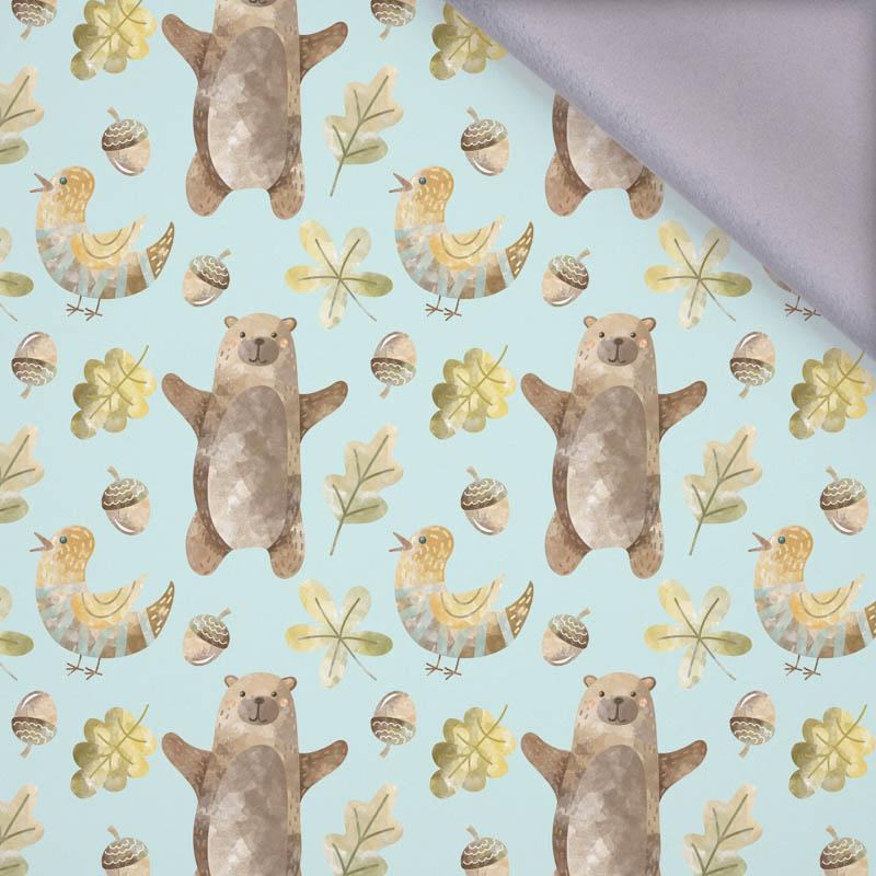 SKATER / blue - softshell