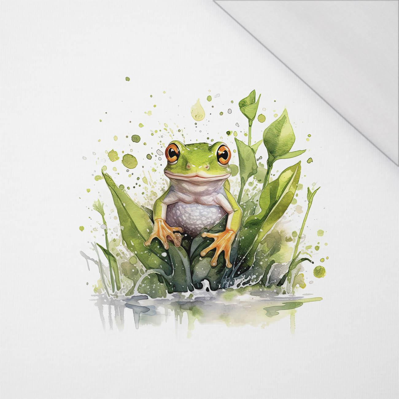 WATERCOLOR FROG - PANEL (60cm x 50cm) SINGLE JERSEY