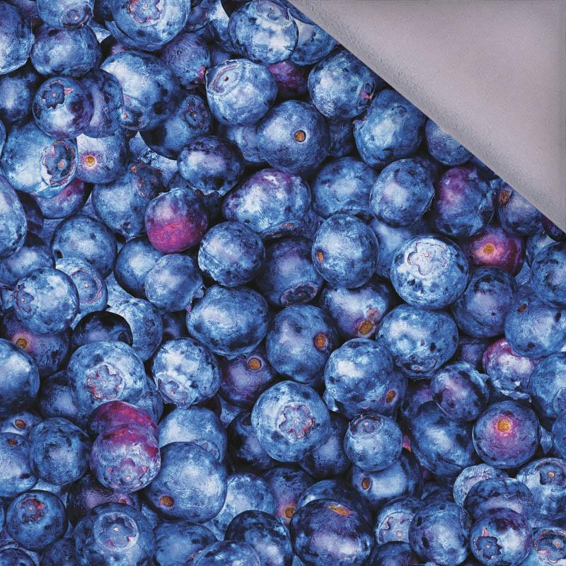 BLUEBERRIES - softshell