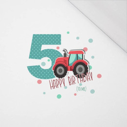 PANDA / MINT size "M" 50x60 cm - white (back) - SINGLE JERSEY PANEL 