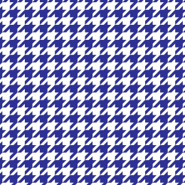 CORNFLOWER HOUNDSTOOTH / WHITE