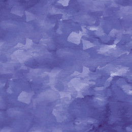 CAMOUFLAGE pat. 2 / Very Peri