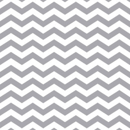 ZIGZAGS / grey