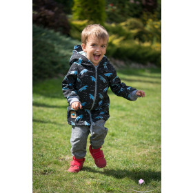 BEARS / black - softshell