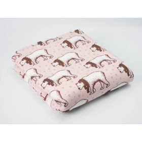 POLAR BEARS - Brushed knit D300