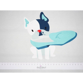 Dog with shoe (J'adore Paris) / aqua - panel single jersey TE210