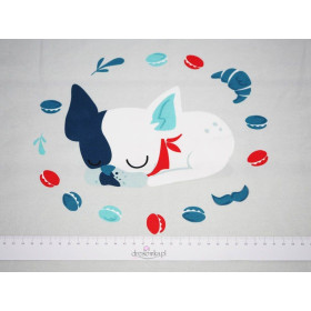 Sleeping dog (J'adore Paris) / aqua - panel single jersey TE210