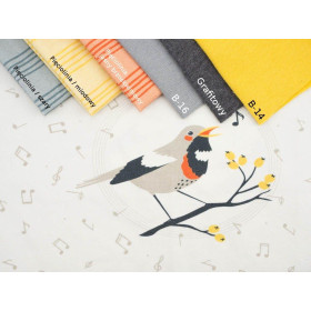 BIRDS TUNES / dirty white - panel single jersey TE210