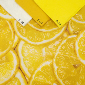 LEMONS - Waterproof woven fabric