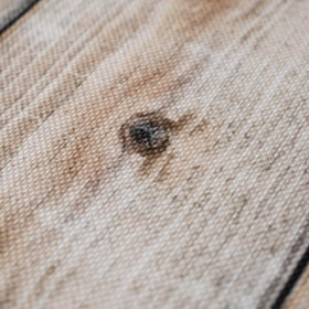 PALM LEAVES pat. 3 / green - Waterproof woven fabric