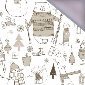 PASTEL WINTER / B-00 white - softshell