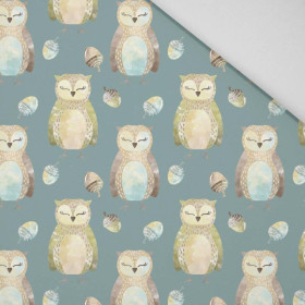 OWLS AND ACORNS (FOREST ANIMALS) - Panama 220g